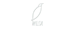 logotyp17